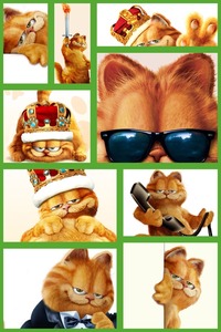 Collage