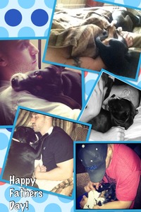 Collage