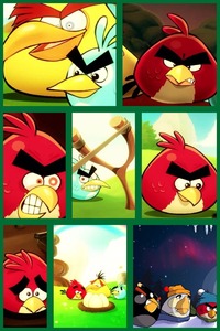 Collage