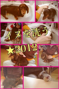 Collage